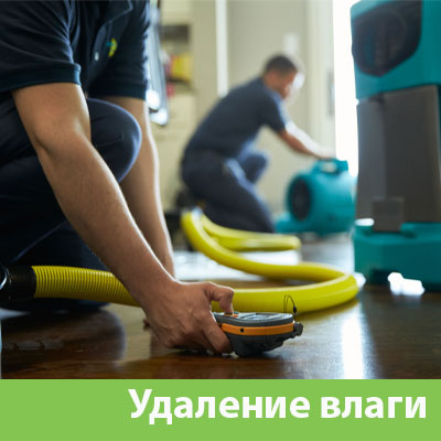Удаление влаги после потопа в Пушкино